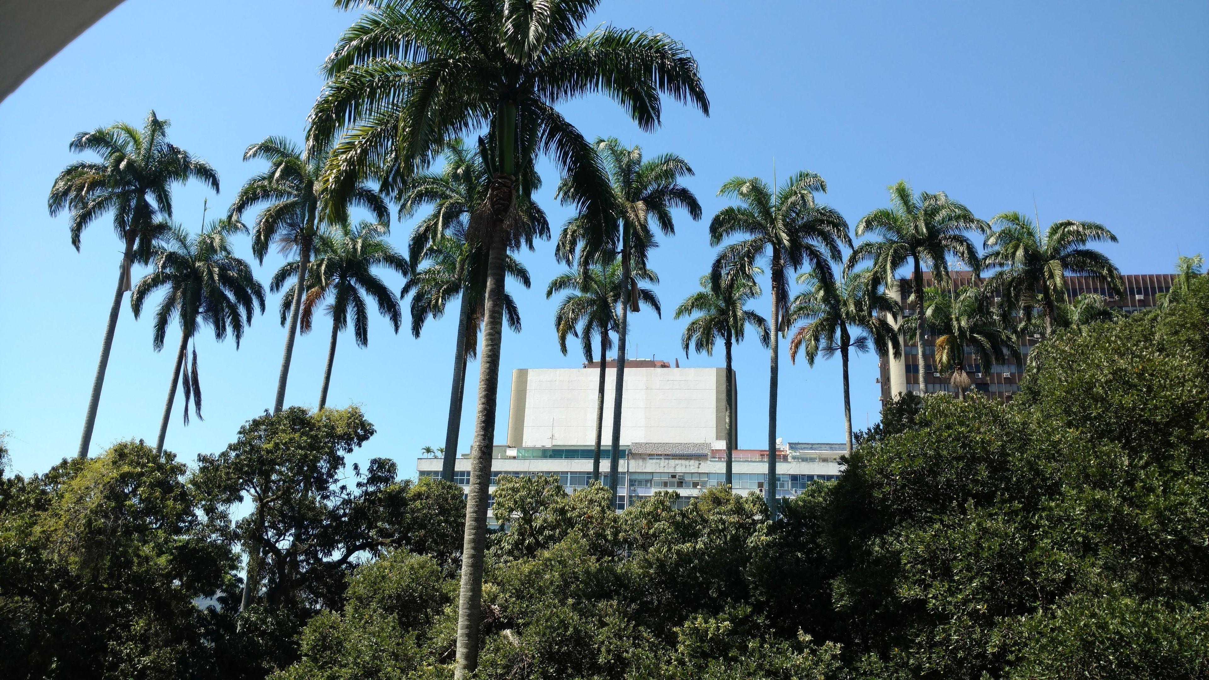 Hotel Ingles - Rio de Janeiro, Rio de Janeiro